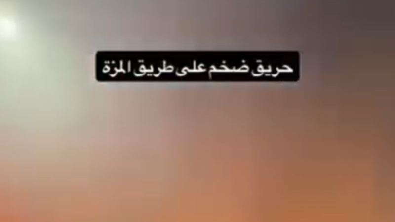 حريق يلتهم أعشابا وأشجارا على أوتوستراد السومرية بدمشق.. وفرق الإطفاء تمنع امتداده (فيديو)