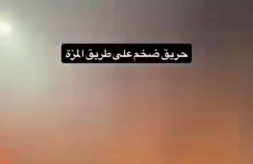 حريق يلتهم أعشابا وأشجارا على أوتوستراد السومرية بدمشق.. وفرق الإطفاء تمنع امتداده (فيديو)