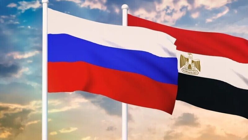 مصر: نسعى لشراكة اقتصادية أكثر عمقا مع روسيا