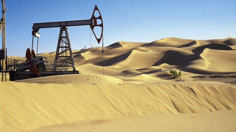 “سوناطراك” الجزائرية تبدأ حفر أول بئر استكشافية في شمال النيجر