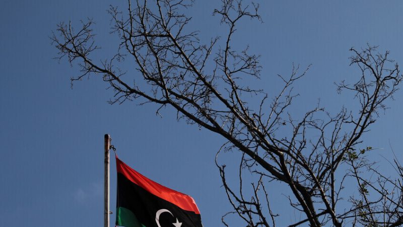 القاهرة تستضيف تحركا ليبيا لتعزيز الزراعة والأمن الغذائي