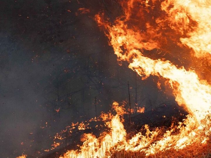حرائق ألمانيا.. إجلاء 1800 شخص وامتداد النيران على مساحة 300 هكتار غرب كولونيا (فيديو)