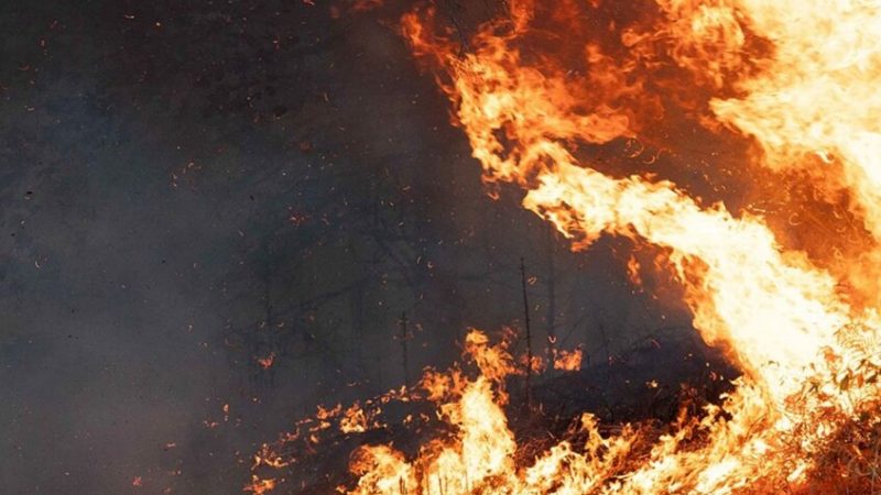 حرائق ألمانيا.. إجلاء 1800 شخص وامتداد النيران على مساحة 300 هكتار غرب كولونيا (فيديو)