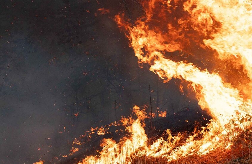حرائق ألمانيا.. إجلاء 1800 شخص وامتداد النيران على مساحة 300 هكتار غرب كولونيا (فيديو)