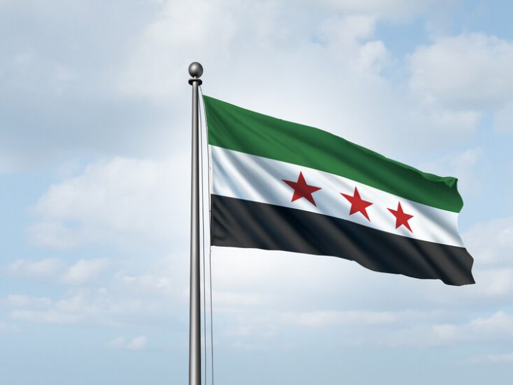 سوريا.. وزارة الزراعة تنفي انتشار الجراد في سهل الغاب وتوضح حقيقة الحشرات المشاهدة