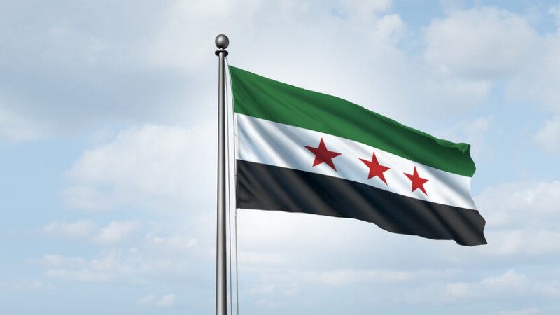 سوريا.. وزارة الزراعة تنفي انتشار الجراد في سهل الغاب وتوضح حقيقة الحشرات المشاهدة