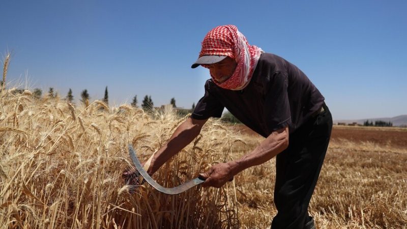سوريا.. خسائر زراعية واسعة في القنيطرة بسبب عمليات رش المبيدات الإسرائيلية