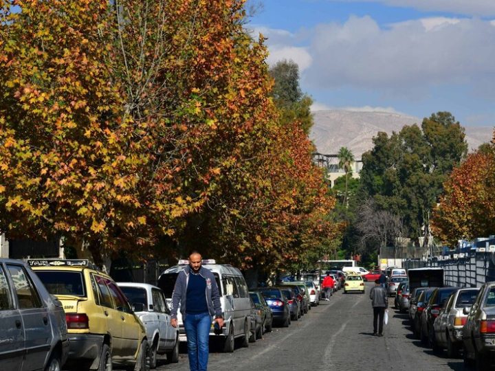وزارة النقل السورية تكشف صحة الأنباء عن صدور قرار جديد يتعلق باستيراد السيارات