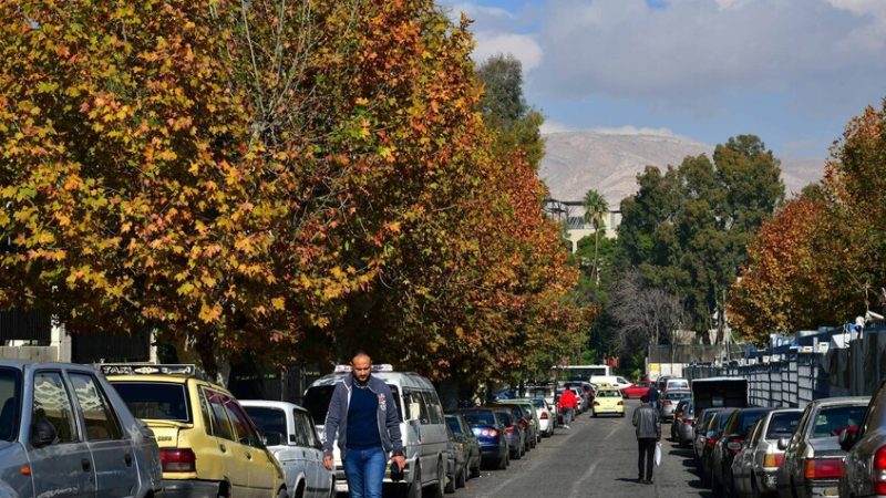 وزارة النقل السورية تكشف صحة الأنباء عن صدور قرار جديد يتعلق باستيراد السيارات