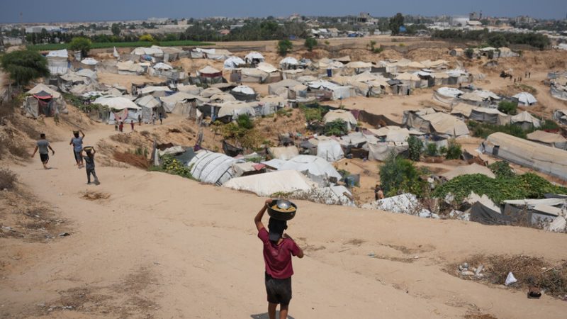 الأمم المتحدة: 3% فقط من الأراضي الزراعية في غزة سليمة ومتاحة للمزارعين